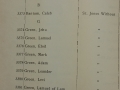 1923 VL 19