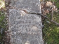 Shaw George