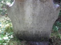 Shaw Mary