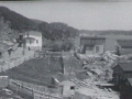Butter Cove circa 1960
