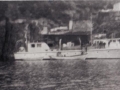 christmas seal in butter cove in 1967