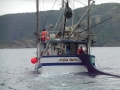 The Last One from Hickmans Hr sets its siene on Deer Cove  Shore