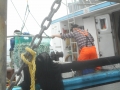 Dipping caplin aboard the Random Mist.1 - Copy
