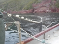 End of the seine being retrieved and placed in the power block.1 - Copy