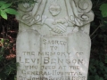 Benson Levi