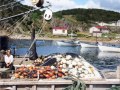 Gooseberry-Cove-AI