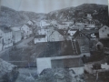 Gooseberry Cove c. 1950