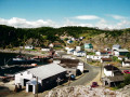 Gooseberry-Cove-photo-credit-Roy-Pitcher