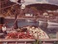 Gooseberry-Cove