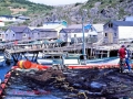 IMG_0007 Gooseberry Cove 1984 85