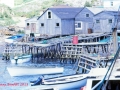 IMG_0008 Gosseberry Cove