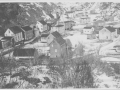 Sylvia Meadus Contributions 004