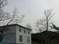 20150602_170424