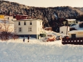 Walt Averys house
