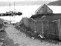 Hatchet-Cove-grayscale-Posted-by-Paul-Ronald-Freeman