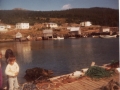 Hatchet Cove
