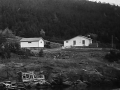 Lawrence & Nellie Bishop's house,  Hatchet Cove. (Photo by Packet, 1994)