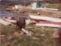 hatchet cove 5