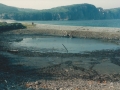 Hearts Ease Beach 1990
