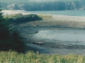 Hearts Ease Beach2 1990
