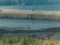 Hearts Ease Beach3 1990
