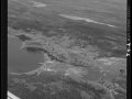 Little-Hearts-Ease_Hodges-Cove_NA-25271_Lee_Wulff