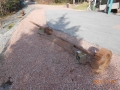 DSCN0509