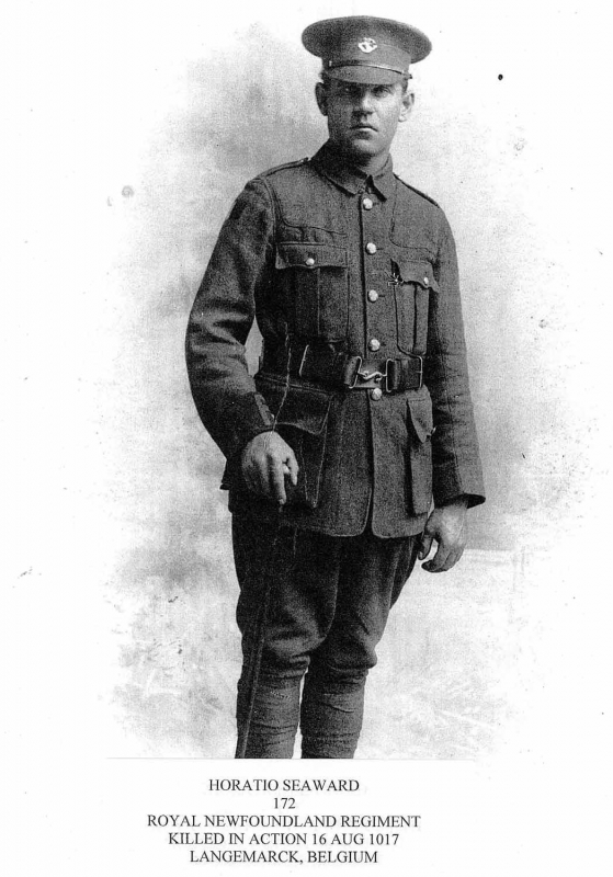 Private Horatius Seward Regimental  Number #172  Enlisted on September 8, 1914.