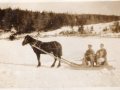 Max-Horse-from-collection-of-Nellie-Robbins-Tucker