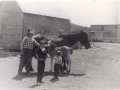 Molly and foal Harry with Nathaniel Smith and grandchildren