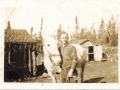 Ken Churchill of Hillview