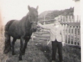 John Stringer and Cecil Stringer_Horse Flash_posted by Elaine Peddle Spurrell