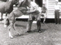Trixie and foal Expor with Lindo Smith lifting foal