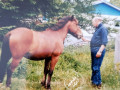 Bill-Jacobs-and-Broncco-of-LHE