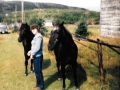 Frank owned by Doug Stringer and Champ owned by Teophilus Drodge then Will Stringer and finally Hubert Stringer