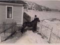 Horse Harry-Az's Horse-Baxter's House background