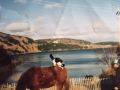 Prince and cat owned by Eli Stringer