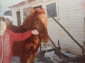Prince owned by Eli Stringer1