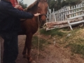 Prince owned by Eli Stringer5