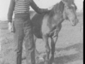 Raymond Jacobs LHE