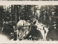 Harold and Hayward and HJ and Horse Darkie 1937