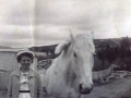 Admiral owned by John Vivian with Sandra Vivian