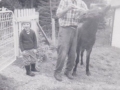 Aquilla Brown and unknown horse and child