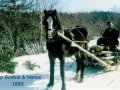 William Goobie and horse Queens Cove