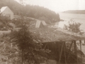 Island Cove Arthur William Smith flake Oct 1955_Annie Smith