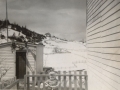 Island Cove Bob Smith_Annie