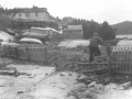 Island Cove Lewis Spurrell hom_Annie Smith