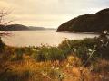 Island-Cove-photo-credit-Joan-Smith-Ford