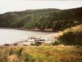 Island-Cove-picture-from-Joan-Ford