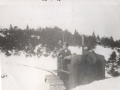 Island Cove winter_Annie Smith